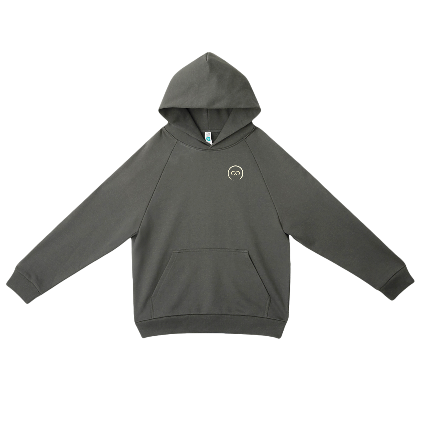 Shyfter Movement hoodie deluxe grey front